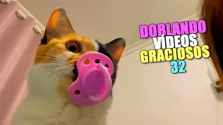 DOBLANDO VÍDEOS GRACIOSOS 32