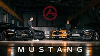 Ford Mustang из США / Какие комплектации есть у Форд Мустанга / Какие типы ударов можно брать