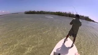 Great Inagua 50" barracuda on the fly