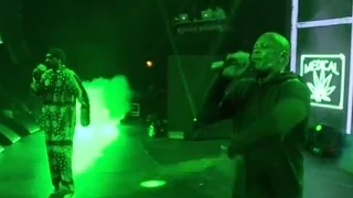 SNOOP BRINGS OUT DRE AT ALL STAR CONCERT