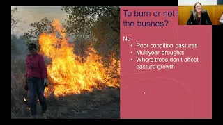 Do we really need to burn the bushes?