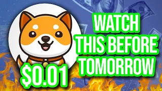 BABY DOGE COIN BIG UPDATE: YOU WONT BELIEVE THE SKYROCKET! (PRICE PREDICTION NEWS TODAY 2022)