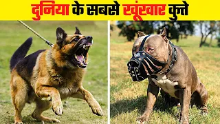 ये हैं दुनिया के सबसे आक्रामक कुत्ते | Most Dangerous Dog Breeds in the World