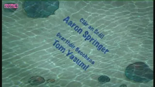 spongebob - welcome to the bikini bottom triangle title card (irish)