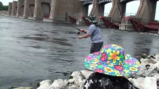 Wisconsin White bass fishing June, 24 - 2023 at Mississippi River.