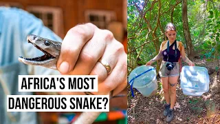 Releasing DEADLY BLACK MAMBAS with SNAKE RESCUER Nick Evans 🐍