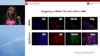 Waldenstrom's macroglobulinemia therapy in the era of novel therapies