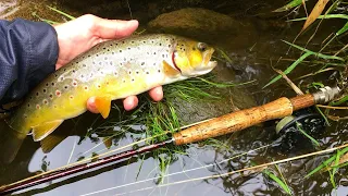 Top 10 Fall Trout Fishing MISTAKES