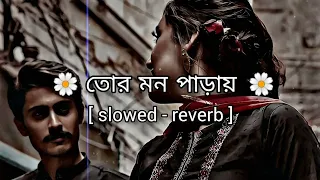 Tor Mon Paray Lofi | (slowed - reverb) | Mahdi Sultan | তোর মন পাড়ায় | Jisan Khan Shuvo |sai GINI🎵