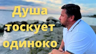 🌱Очень трогательная песня. Душа тоскует в мире одиноко. 🌱 (Official Video)   #Jakob_Eva