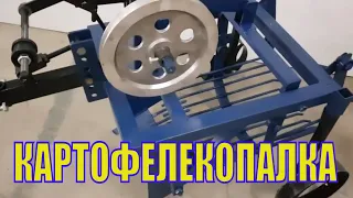 Какую выбрать картофелекопалку для мотоблока? Картофелекопалка ременная под водянку!