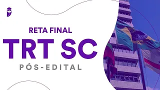 Reta Final TRT SC Pós-Edital: Direito do Trabalho - Prof. Antônio Daud
