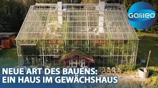 Wer im Glashaus sitzt - wohnt darin! Ein autarkes Haus im Gewächshaus