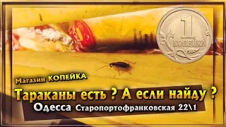 ТАРАКАНЫ ЕСТЬ? А ЕСЛИ НАЙДУ? МАГАЗИН "КОПЕЙКА"