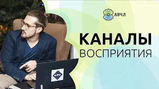 Как высокочувствительный человек воспринимает информацию. Каналы восприятия.