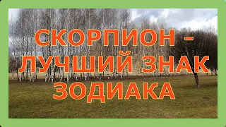 СКОРПИОН - ЛУЧШИЙ ЗНАК ЗОДИАКА. 14 Причин почему скорпион лучший знак зодиака. Гороскоп Скорпион