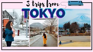 3 places to visit from Tokyo, Japan I Best day trips from Tokyo I Tokyo trips with Japan rail pass