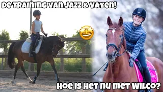 Op bezoek bij WILCO! De training van Jazz & Vayen | ashleyvrijn VLOG #33