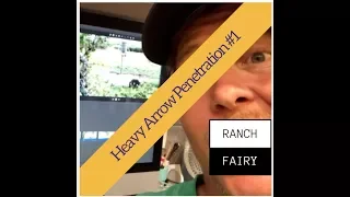 Heavy Arrow Penetration Update 1 l Ranch Fairy Test Lab