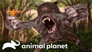 Mapinguari: The Devil in the Forest | Finding Bigfoot | Animal Planet