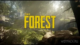 The Forest Пещера с водопадом