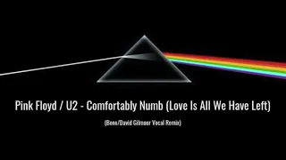 Pink Floyd / U2 - Comfortably Numb (Love Is All We Have Left) Remix