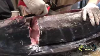 How To Fillet A Big Fish ( 115 lb Striped Marlin ) !!