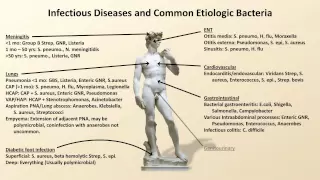 Bacterial Etiologies of Common Infections (Antibiotics - Lecture 2)