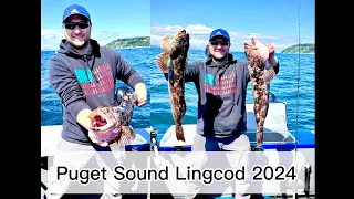 Puget Sound Lingcod Fishing (Opening Day)