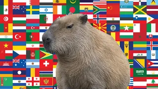Capybara in different languages memes