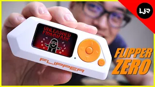 Flipper Zero - DarkFlippers / Unleashed Firmware & First Impression