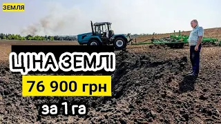 Ціна землі по областям на 18.07.22! Як зберегти зерно після жнив і не віддати задарма