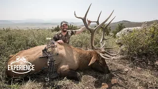 Colorado Archery Elk Hunting Experience - with Mark Peterson