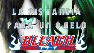 Bleach, La Distancia Para Un Duelo Metal Cover