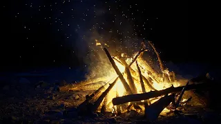 History of the Yule Log: Ancient Pagan Ritual to Modern Christmas Tradition