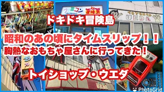 【福島県矢吹町】昭和のあの頃にタイムスリップ！胸熱なおもちゃ屋さんに行ってきた！【トイショップ・ウエダ＊ファミコンリサイクルショップ ドキドキ冒険島】