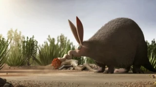 Funny commercial   ants