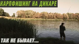 КАРПФИШИНГ НА НОВОМ ДИКАРЕ! Невероятный исход рыбалки.