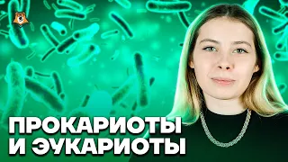 Прокариоты и эукариоты | Биология ЕГЭ 10 класс | Умскул