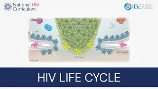 Mini-Lecture Series: Overview of the HIV Life Cycle