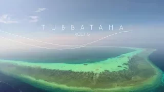 Tubbataha Reef, Palawan - UNESCO Heritage Site and a National Treasure