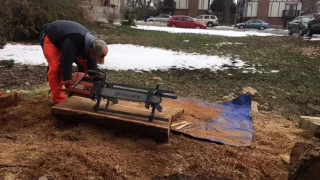 Chainsaw Milling Elm