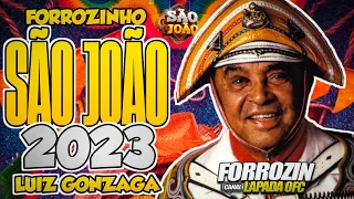 🔴FORROZINHO SÃO JOÃO✅️LUIZ GONZAGA 2023🟢LUIZ O PODEROSO CHEFÃO #luizpoderosochefão #nordeste