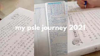 my PSLE journey 2021 : study and grind