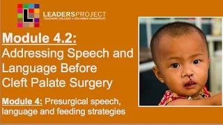 Module 4.2- Cleft Palate Speech and Feeding: Addressing Speech and Language Before Surgery