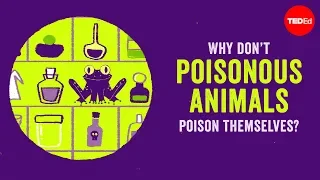 Why don’t poisonous animals poison themselves? - Rebecca D. Tarvin