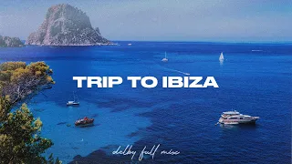 Trip To Ibiza - Delby Afrohouse, Melodic House Mix