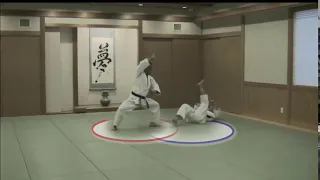 Tomiki Aikido - Atemi waza - Gedan ate
