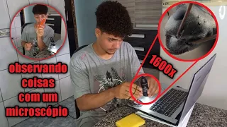 COMO É UMA FORMIGA VISTA DE UM MICROSCÓPIO COM ZOOM 1600x *observando coisas com o microscópio*