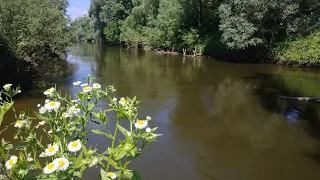 Відеозвіт рибалки від 05 07 2020